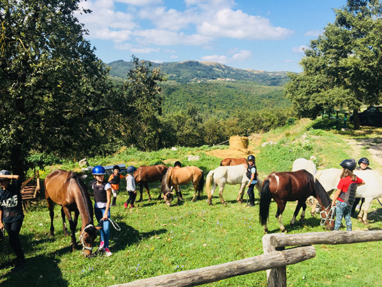 cavalli pony biciclette calcio tipo attivita