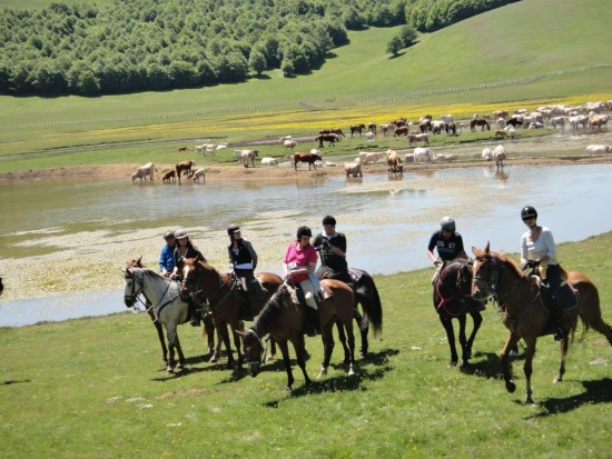 vacanze a cavallo