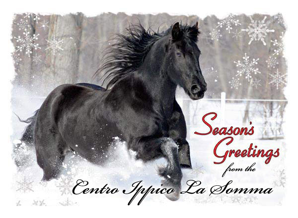 season greetings