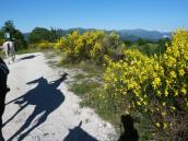 Clicca per ingrandire
