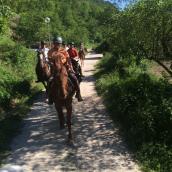 Clicca per ingrandire